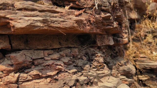 Camera moves along exposed sedimentary rock layers on hillside revealing horizontal strata formed by gradual sediment deposition over long geological time.