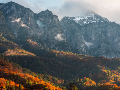 Mountains rise above a forest in autumn colors. Some peaks are snow-capped, and clouds drift around them. Adamello Brenta Natural Park, Madonna di Campiglio,Trentino,Italy