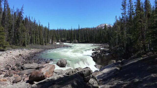 Sunwapta Falls churning through canyon in Jasper National Park in the Canadian Rockies
