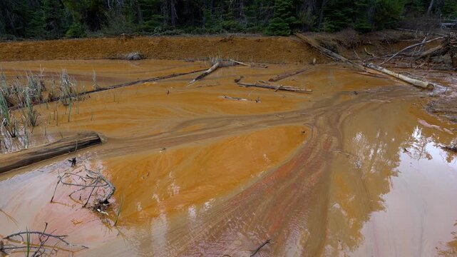Ochre colored mineral pools showing abstract patterns and deadfall logs in Kootenay National Park