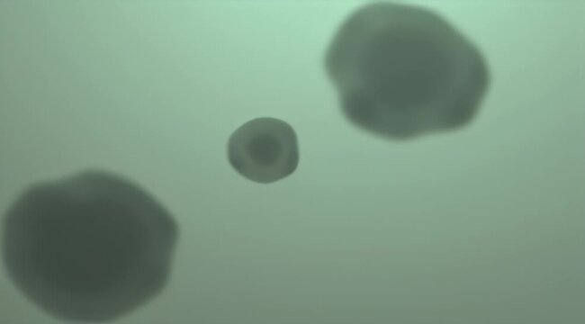 Blurred microscopic view of cells or globules against a greenish background