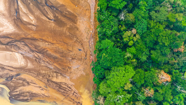 Aerial view of the stark contrast between the muddy riverbank and the vibrant green forest canopy, Puerto Maldonado, Madre de Dios, Peru.