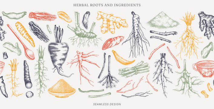 Medicinal roots seamless pattern. Herbal ingredients hand drawn vector illustration. Vintage apothecary background. NOT AI generated