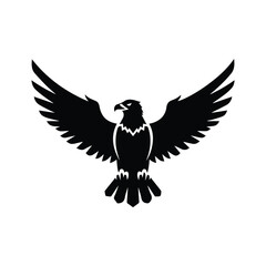 Obraz premium Silhouette of Soldier in Helmet with Laurel Wreath and Star Emblem, Symbolizing Military Honor, Service, and Victory