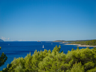 Obraz premium Blue Adriatic Sea with white sailboats crossing the horizon above bright green pines on island of Hvar. Perfect day for sailing, accompanied by sunshine, gentle winds and views of scenic coastline.