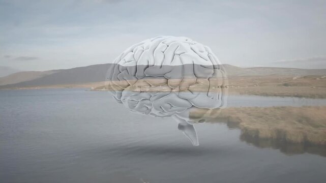 Clear brain hovering over calm pond, frames advancing tilting and bobbing, reflecting for health