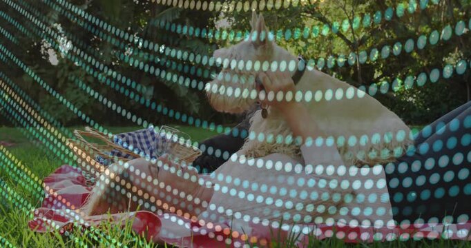 Reclining woman lifting small white terrier onto chest, cupping and petting to show affection
