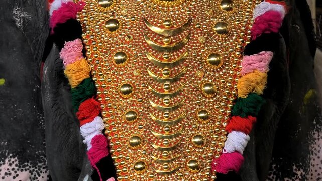 Closeup of decoration of an elephant participated in a temple festival in Kerala, India