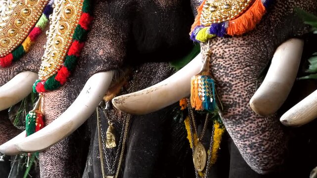 Closeup of decoration of elephants participated in a temple festival in Kerala, India