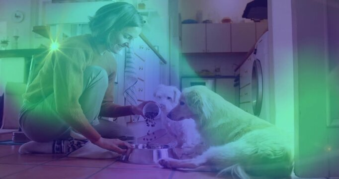 Woman kneeling pouring kibble into steel bowl steadying star-flares shifting dogs watching pet care
