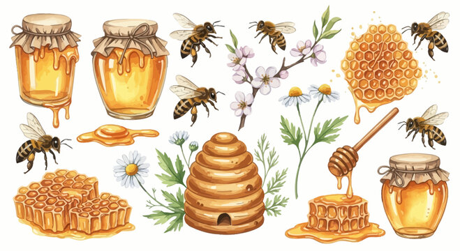Watercolor illustration of honey jars bees flowers and honeycomb elements