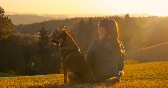 LENS FLARE, CLOSE UP: Woman sits on grassy slope and with her shepherd dog and they both gaze at misty forested hills in golden light. Peaceful moment between owner and pet during an early spring walk