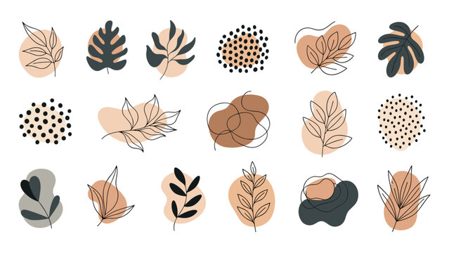 Collection of organic leaf drawings paired with abstract earthy shapes and dot patterns for a modern botanical look.