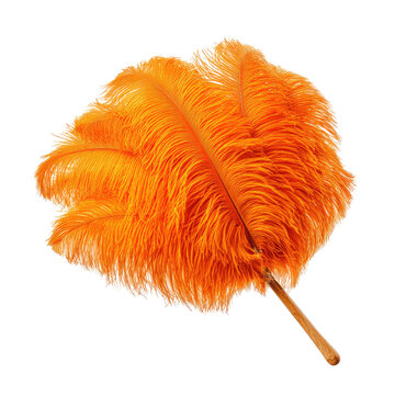 Close-up of a vibrant orange ostrich feather against a solid black backdrop