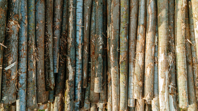 Aerial view of neatly stacked logs displaying a symphony of textures and earthy tones, revealing the raw beauty of timber in an organized fashion, Sremska Mitrovica, Vojvodina, Serbia.