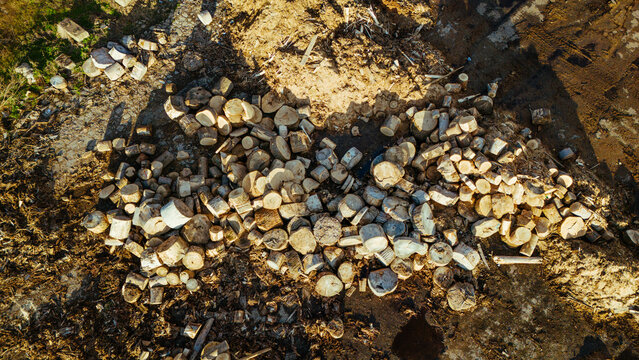 Aerial view of a jumbled assortment of timber logs scattered across the ground, their rough textures contrasting with the soft earth, Sremska Mitrovica, Vojvodina, Serbia.