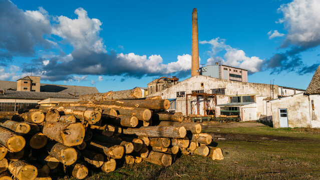 Aerial view of stacked logs in the foreground against the backdrop of a weathered industrial complex under a bright sky, Sremska Mitrovica, Vojvodina, Serbia.