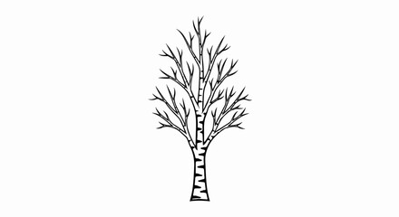 Fototapeta premium Stylized black and white drawing of a bare deciduous tree