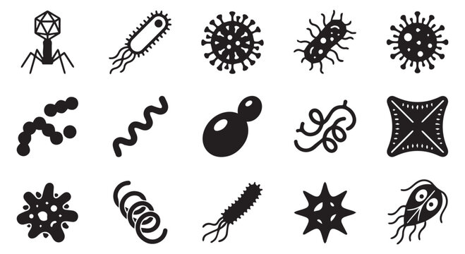 Collection of various bacteria and germs illustrations in black on Transparent Background