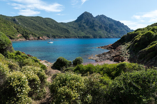 CORSE - Golfe de Girolata