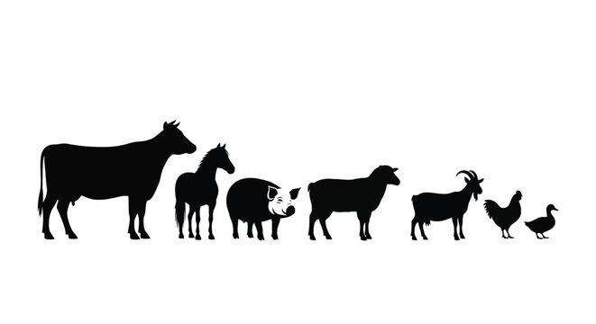 A donkey and a foal standing side by side vector silhouette