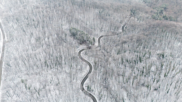 Aerial view of a winding road cuts through a snow-laden forest, a stark contrast between the dark asphalt and the pristine white landscape, Rakovac, Vojvodina, Serbia.