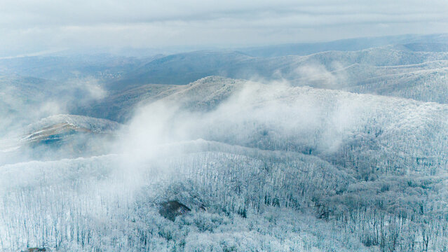 Aerial view of a serene winter wonderland where snow-laden trees create a mesmerizing tapestry under a soft, diffused light, Rakovac, Vojvodina, Serbia.
