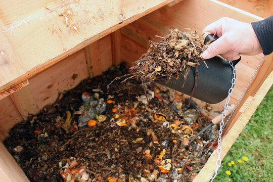 Main tenant un broc de mati&egrave;re brune pour m&eacute;lange de compost du jardin