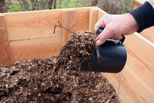 Main tenant un broc de mati&egrave;re brune pour m&eacute;lange de compost du jardin