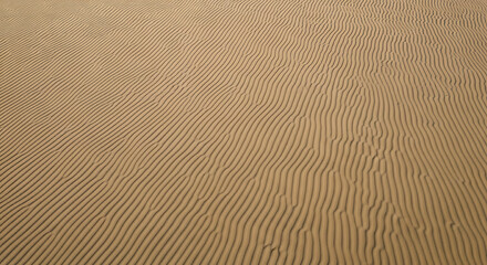 Obraz premium Sand Dunes Wind Patterns Drone Shot Sand Ripples Field