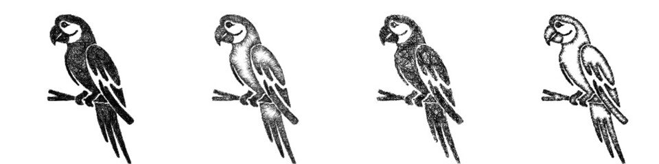 Sketch macaw icon design set © David Zydd