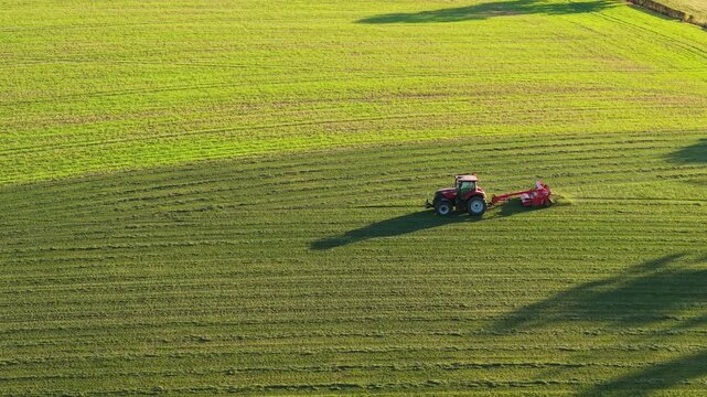 Tractor moving across green field turning cut grass for silage. Agricultural machine flipping fresh forage over cultivated meadow for feed preparation. Farming vehicle rotating mown pasture across