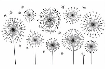 Obraz premium Fireworks outline sketch backgrounds dandelion flower.