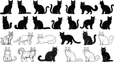 Large set of cat silhouettes and hand drawn sketches featuring various feline breeds in sitting, walking, and lying poses isolated on a white background. © MdRasel