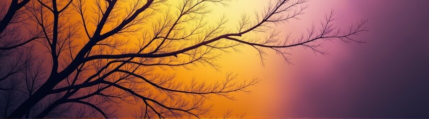 Fototapeta premium Tree branch in the sunset banner gradient background