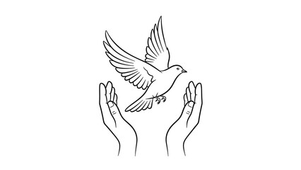 Fototapeta premium Hands releasing a white bird in flight isolated on a transparent background 1