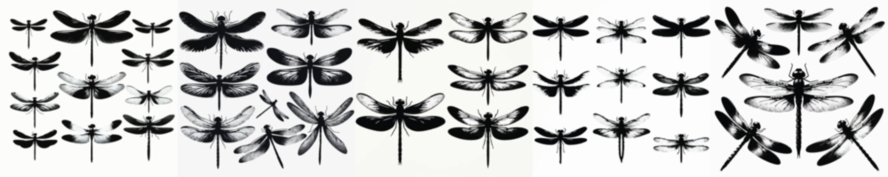 Vector set image silhouette of dragonfly