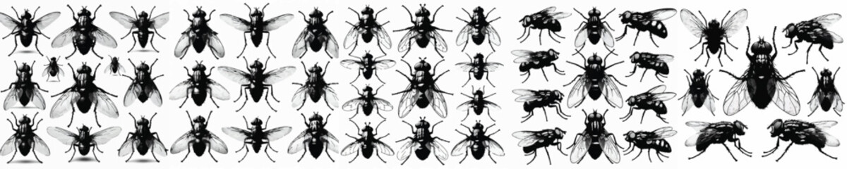 Vector set image silhouette of fly © FirdianKrisna