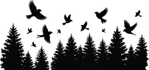 Fototapeta premium Pine forest landscape silhouette with flying birds, evergreen trees border, winter wood wilderness, and nature outdoor vector design