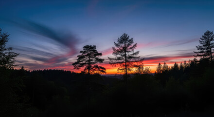 A serene forest landscape at sunset with silhouetted trees against a vibrant colorful sky