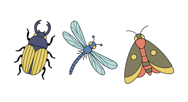 Insects Beetle Dragonfly Moth Illustration Set.