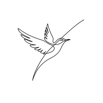 Minimalist line art bird illustration