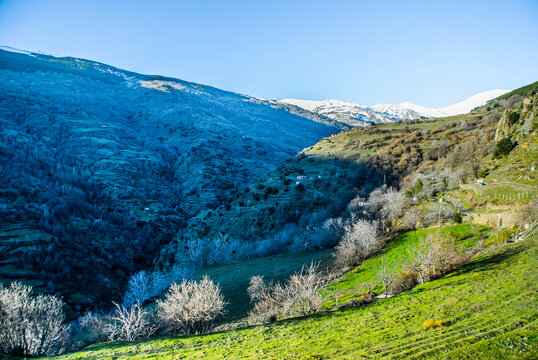 Alpujarras
