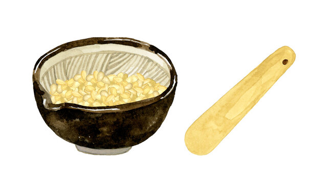 すり鉢に入った白ゴマとすりこぎのセット　野菜・薬味の手描き水彩イラスト素材