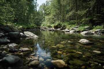 Obraz premium Gentle Waterway Revealing Smooth Pebbles Beneath Dappled Sunlight Spreading Across Leafy Forest Canopy