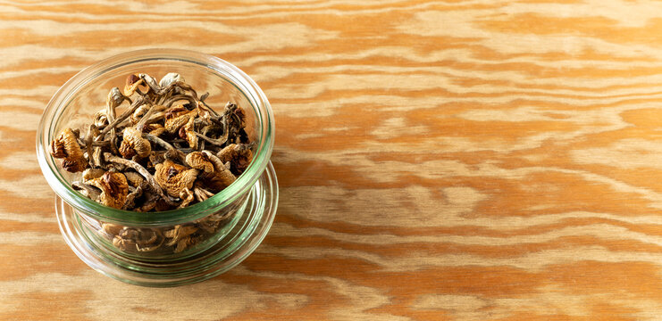 Dried psychedelic mushrooms (Psilocybe cubensis) in a glass bowl. Wooden background with empty copy space. 