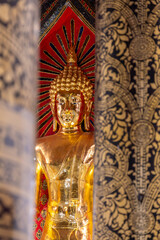 Fototapeta premium Golden Buddha statue inside Buddhist temple in Thailand. Sacred interior of spiritual place with traditional decoration, symbol of faith, meditation and Asian religious culture.