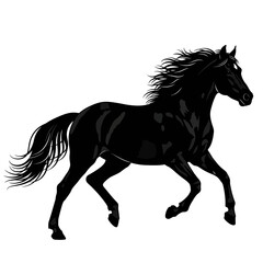 Obraz premium Majestic black horse galloping with flowing mane and tail against a white background, symbolizing freedom and power.