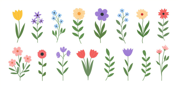Spring and summer abstract flowers set with lush green leaves, floral botanical elements: for occasions: Mother's Day, Women's Day, Easter.