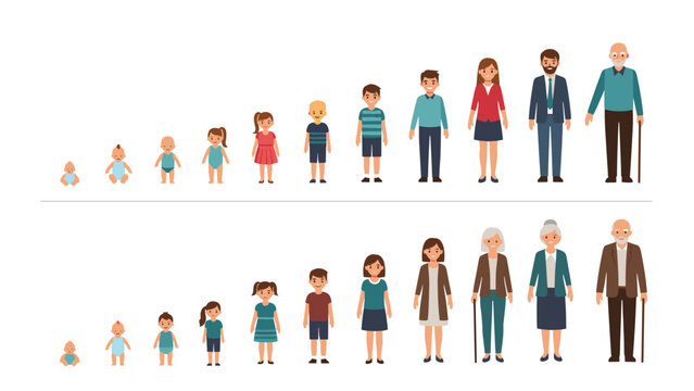 Maturation Human Development Child Development Stages Images – Browse 30,888 Stock Photos, Vectors ...